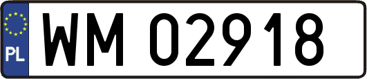 WM02918