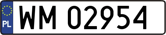 WM02954