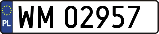 WM02957