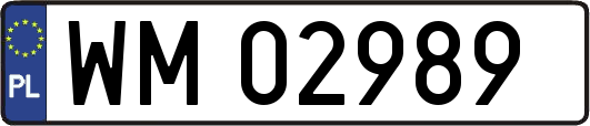 WM02989