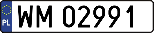 WM02991