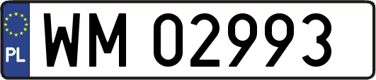 WM02993