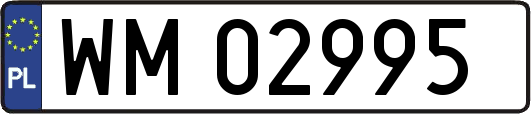 WM02995