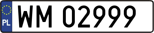 WM02999