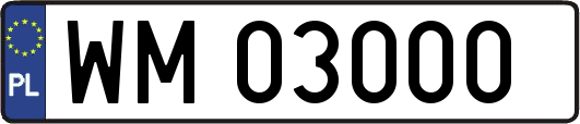 WM03000