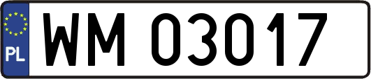 WM03017
