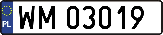 WM03019