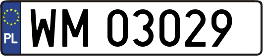 WM03029