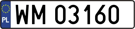 WM03160