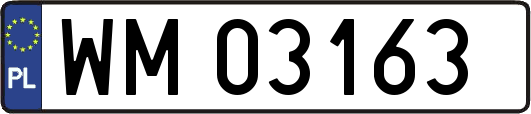 WM03163