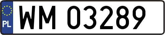 WM03289