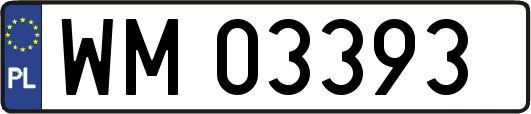 WM03393