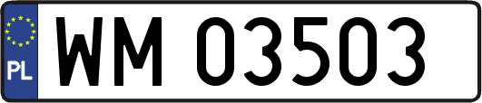 WM03503