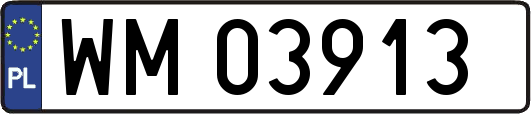 WM03913