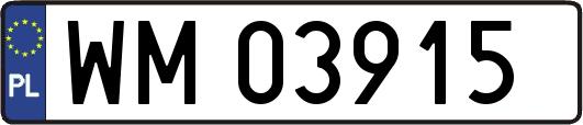 WM03915