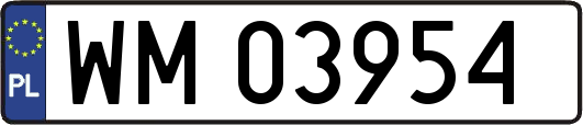 WM03954