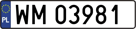 WM03981