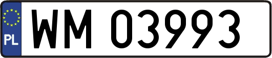 WM03993