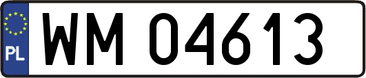 WM04613