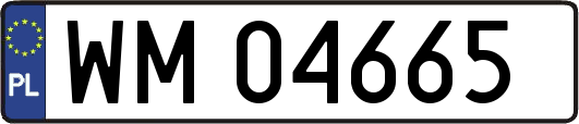 WM04665