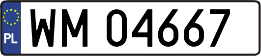 WM04667