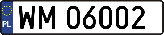 WM06002