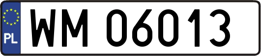 WM06013