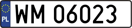 WM06023