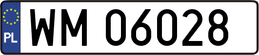 WM06028