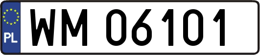 WM06101