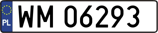 WM06293