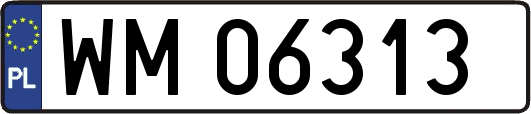 WM06313
