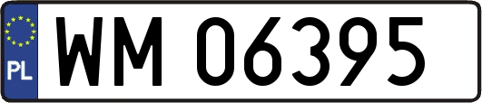 WM06395
