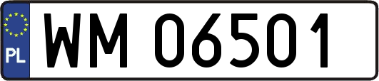 WM06501