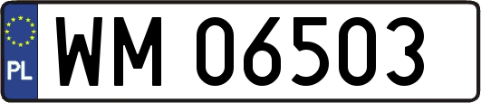 WM06503