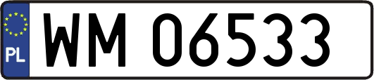 WM06533