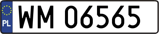 WM06565