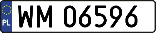 WM06596