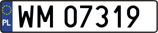 WM07319