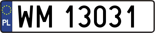 WM13031