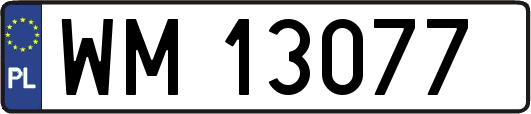 WM13077