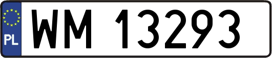 WM13293