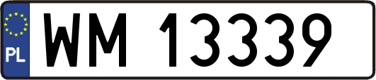 WM13339