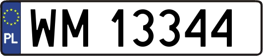 WM13344
