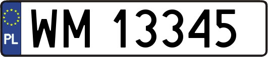 WM13345