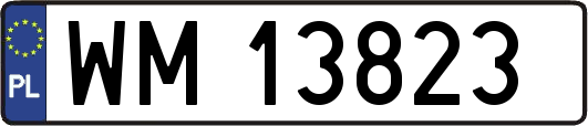 WM13823