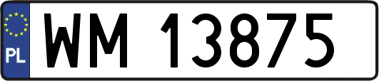 WM13875