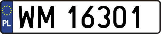 WM16301