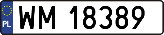 WM18389