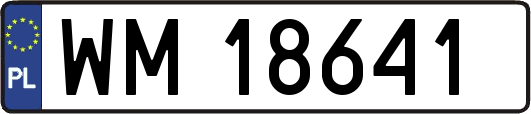 WM18641